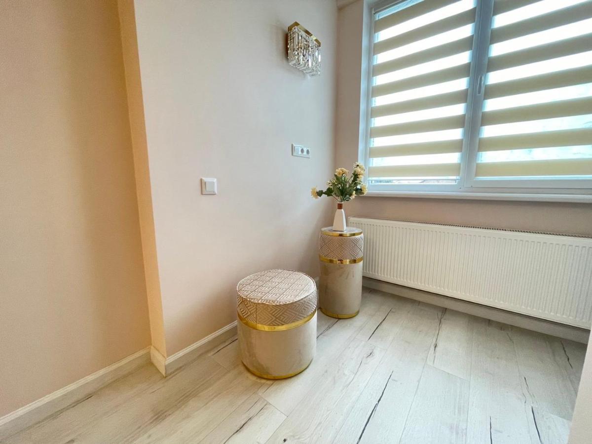 Modern Cozy Ultracentral *